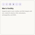 Men's Fertility